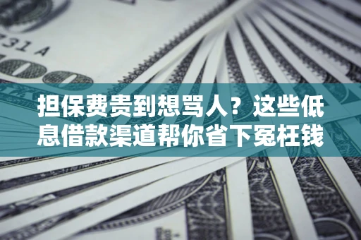 济南担保费贵到想骂人？这些低息借款渠道帮你省下冤枉钱